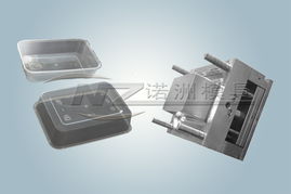 保鮮盒模具 ,臺(tái)州黃巖諾州塑料模具廠