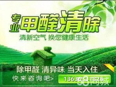 母嬰甲醛治理服務工裝家裝除甲醛工廠,空氣凈化提供甲醛檢測、汽車除醛、甲醛治理/除甲醛服務